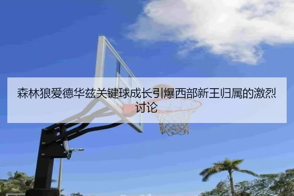 森林狼爱德华兹关键球成长引爆西部新王归属的激烈讨论